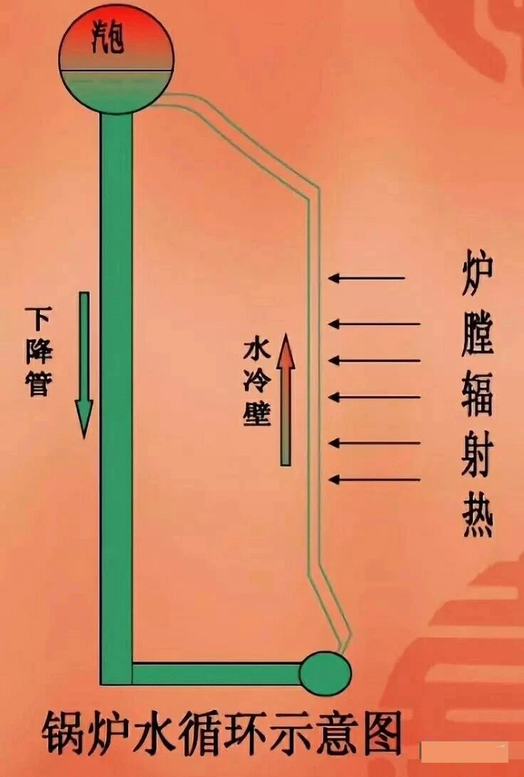 微信图片_20240117092326.jpg
